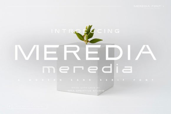 Meredia: A Modern Font for Business Success