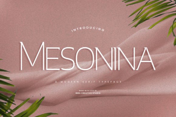 Mesonina: A Modern Serif Font for Impactful Design