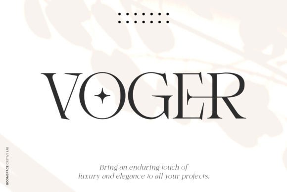 Voger: A Serif Font for Clear Campaigns